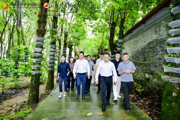 输送机安博体育最新版下载